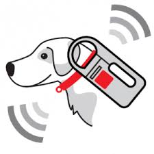 microchip